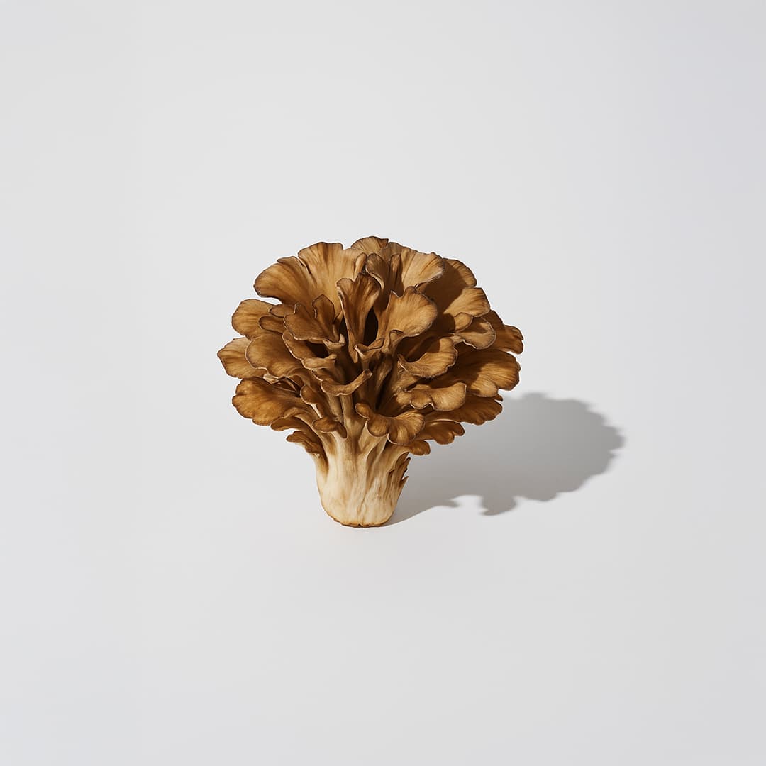 Gummies Adaptogènes Immunité à la Grenade 60 – Reishi & Maitake