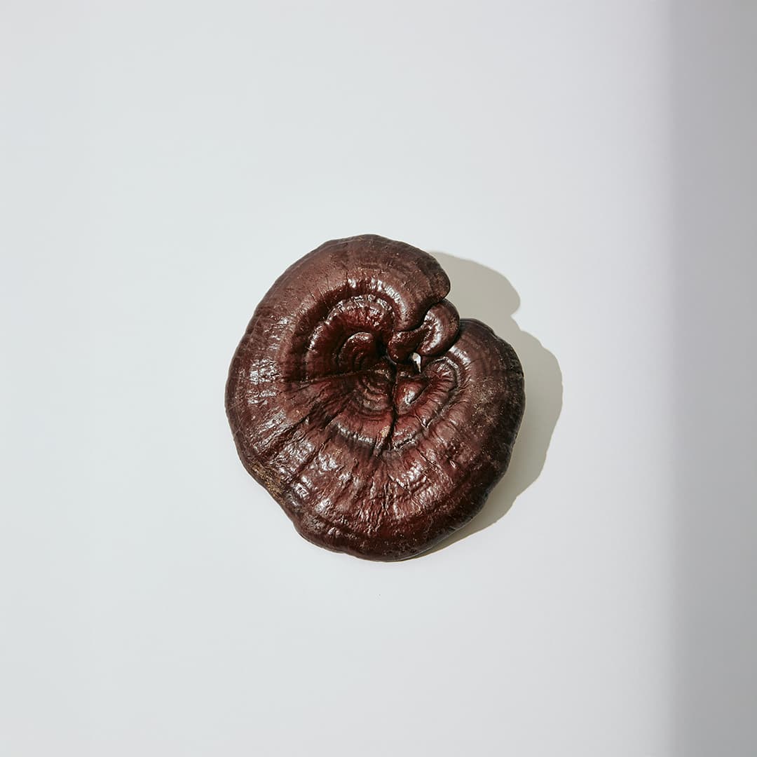 Gummies Adaptogènes Immunité à la Grenade 60 – Reishi & Maitake