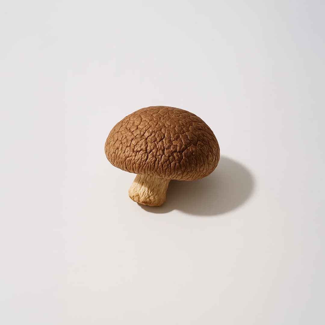 Gummies Adaptogènes Immunité à la Grenade 60 – Reishi & Maitake